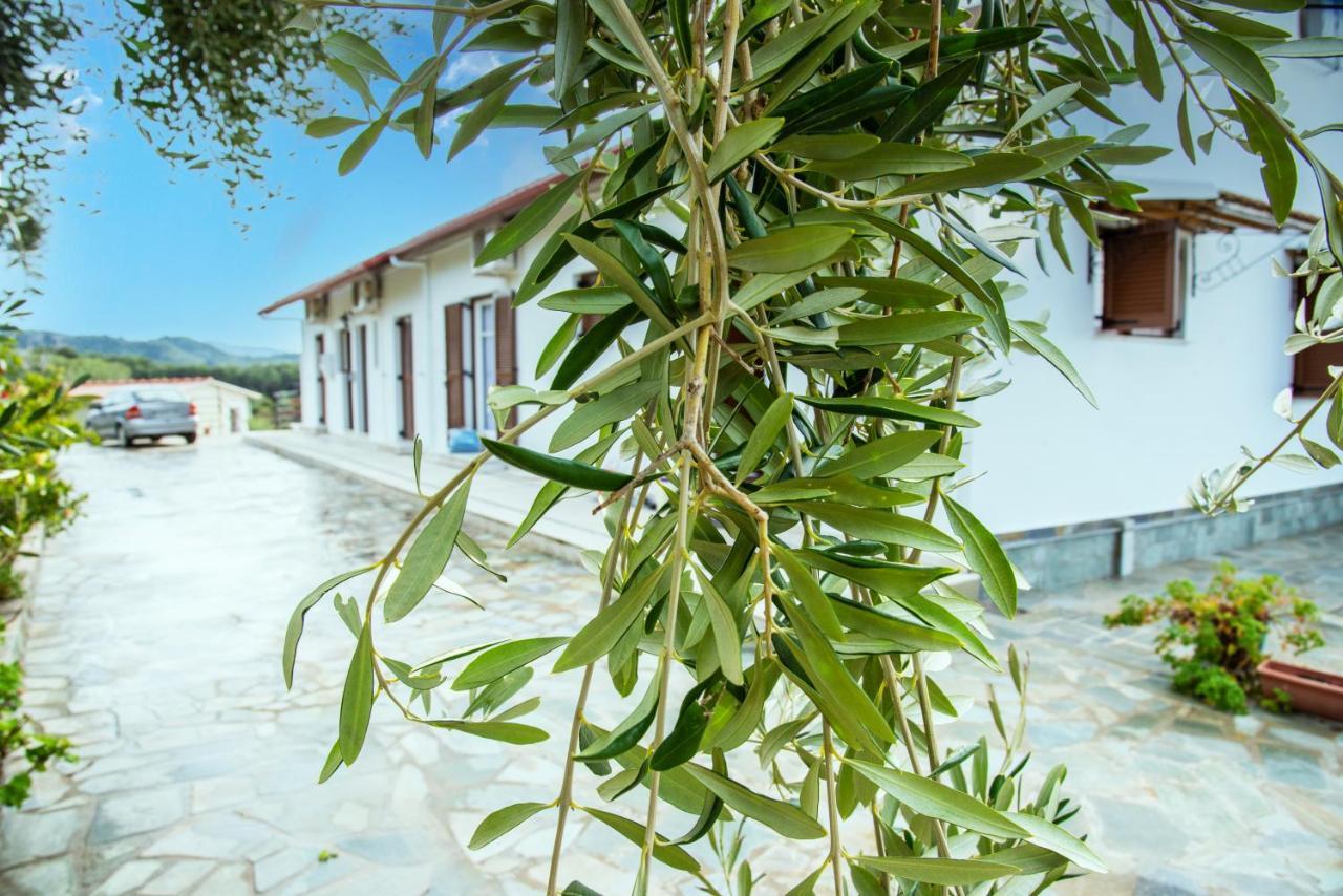 Eleonas Holiday Home Apartment Agios Stefanos Avliotes  ภายนอก รูปภาพ